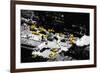 Low Poly New York Art - Taxi Cabs-Philippe Hugonnard-Framed Art Print