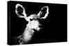 Low Poly Safari Art - Antelope - Black Edition II-Philippe Hugonnard-Stretched Canvas