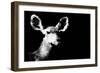 Low Poly Safari Art - Antelope - Black Edition II-Philippe Hugonnard-Framed Premium Giclee Print