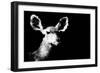 Low Poly Safari Art - Antelope - Black Edition II-Philippe Hugonnard-Framed Premium Giclee Print