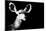 Low Poly Safari Art - Antelope - Black Edition II-Philippe Hugonnard-Mounted Premium Giclee Print