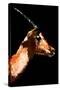 Low Poly Safari Art - Antelope - Black Edition V-Philippe Hugonnard-Stretched Canvas