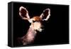 Low Poly Safari Art - Antelope - Black Edition-Philippe Hugonnard-Framed Stretched Canvas
