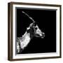 Low Poly Safari Art - Antelope Profile - Black Edition II-Philippe Hugonnard-Framed Premium Giclee Print