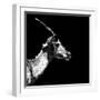 Low Poly Safari Art - Antelope Profile - Black Edition II-Philippe Hugonnard-Framed Premium Giclee Print