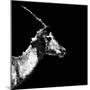 Low Poly Safari Art - Antelope Profile - Black Edition II-Philippe Hugonnard-Mounted Premium Giclee Print