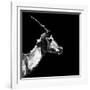 Low Poly Safari Art - Antelope Profile - Black Edition II-Philippe Hugonnard-Framed Art Print