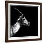 Low Poly Safari Art - Antelope Profile - Black Edition II-Philippe Hugonnard-Framed Art Print