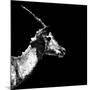 Low Poly Safari Art - Antelope Profile - Black Edition II-Philippe Hugonnard-Mounted Art Print