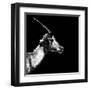 Low Poly Safari Art - Antelope Profile - Black Edition II-Philippe Hugonnard-Framed Art Print