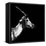 Low Poly Safari Art - Antelope Profile - Black Edition II-Philippe Hugonnard-Framed Stretched Canvas