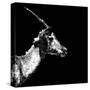 Low Poly Safari Art - Antelope Profile - Black Edition II-Philippe Hugonnard-Stretched Canvas