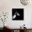 Low Poly Safari Art - Antelope Profile - Black Edition II-Philippe Hugonnard-Framed Stretched Canvas displayed on a wall