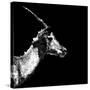 Low Poly Safari Art - Antelope Profile - Black Edition II-Philippe Hugonnard-Stretched Canvas