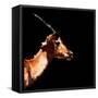 Low Poly Safari Art - Antelope Profile - Black Edition-Philippe Hugonnard-Framed Stretched Canvas