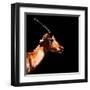 Low Poly Safari Art - Antelope Profile - Black Edition-Philippe Hugonnard-Framed Art Print