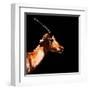 Low Poly Safari Art - Antelope Profile - Black Edition-Philippe Hugonnard-Framed Art Print