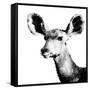 Low Poly Safari Art - Antelope - White Edition II-Philippe Hugonnard-Framed Stretched Canvas