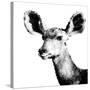 Low Poly Safari Art - Antelope - White Edition II-Philippe Hugonnard-Stretched Canvas