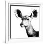 Low Poly Safari Art - Antelope - White Edition II-Philippe Hugonnard-Framed Art Print