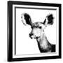 Low Poly Safari Art - Antelope - White Edition II-Philippe Hugonnard-Framed Art Print