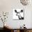 Low Poly Safari Art - Antelope - White Edition II-Philippe Hugonnard-Mounted Art Print displayed on a wall