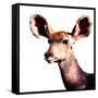 Low Poly Safari Art - Antelope - White Edition-Philippe Hugonnard-Framed Stretched Canvas