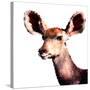 Low Poly Safari Art - Antelope - White Edition-Philippe Hugonnard-Stretched Canvas