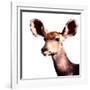 Low Poly Safari Art - Antelope - White Edition-Philippe Hugonnard-Framed Art Print