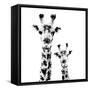 Low Poly Safari Art - Giraffes - White Edition II-Philippe Hugonnard-Framed Stretched Canvas