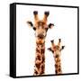 Low Poly Safari Art - Giraffes - White Edition-Philippe Hugonnard-Framed Stretched Canvas