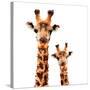 Low Poly Safari Art - Giraffes - White Edition-Philippe Hugonnard-Stretched Canvas