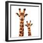 Low Poly Safari Art - Giraffes - White Edition-Philippe Hugonnard-Framed Premium Giclee Print