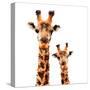 Low Poly Safari Art - Giraffes - White Edition-Philippe Hugonnard-Stretched Canvas