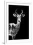 Low Poly Safari Art - Impala Antelope - Black Edition II-Philippe Hugonnard-Framed Art Print