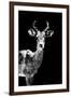 Low Poly Safari Art - Impala Antelope - Black Edition II-Philippe Hugonnard-Framed Art Print
