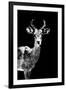 Low Poly Safari Art - Impala Antelope - Black Edition II-Philippe Hugonnard-Framed Art Print