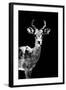 Low Poly Safari Art - Impala Antelope - Black Edition II-Philippe Hugonnard-Framed Art Print