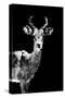 Low Poly Safari Art - Impala Antelope - Black Edition II-Philippe Hugonnard-Stretched Canvas