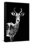 Low Poly Safari Art - Impala Antelope - Black Edition II-Philippe Hugonnard-Framed Stretched Canvas