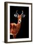 Low Poly Safari Art - Impala Antelope - Black Edition-Philippe Hugonnard-Framed Art Print