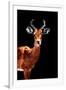 Low Poly Safari Art - Impala Antelope - Black Edition-Philippe Hugonnard-Framed Art Print