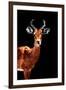 Low Poly Safari Art - Impala Antelope - Black Edition-Philippe Hugonnard-Framed Art Print