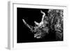 Low Poly Safari Art - Rhino - Black Edition II-Philippe Hugonnard-Framed Premium Giclee Print