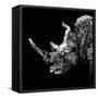 Low Poly Safari Art - Rhino - Black Edition III-Philippe Hugonnard-Framed Stretched Canvas