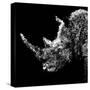 Low Poly Safari Art - Rhino - Black Edition III-Philippe Hugonnard-Stretched Canvas
