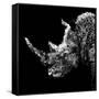 Low Poly Safari Art - Rhino - Black Edition III-Philippe Hugonnard-Framed Stretched Canvas