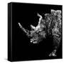 Low Poly Safari Art - Rhino - Black Edition-Philippe Hugonnard-Framed Stretched Canvas