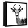 Low Poly Safari Art - The Antelope - White Edition II-Philippe Hugonnard-Framed Stretched Canvas