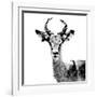 Low Poly Safari Art - The Antelope - White Edition II-Philippe Hugonnard-Framed Art Print